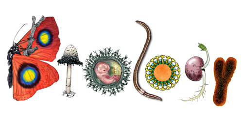 Biology